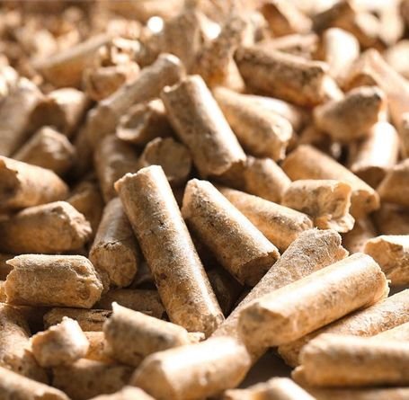 Coconut Products Export Indonesia